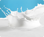 Mléko a mléčné výrobky